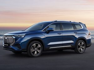 Geely Okavango (PREMIUM)